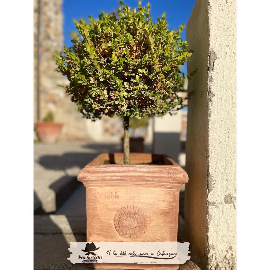 كاتانزارو Don Giacchi Country House المظهر الخارجي الصورة