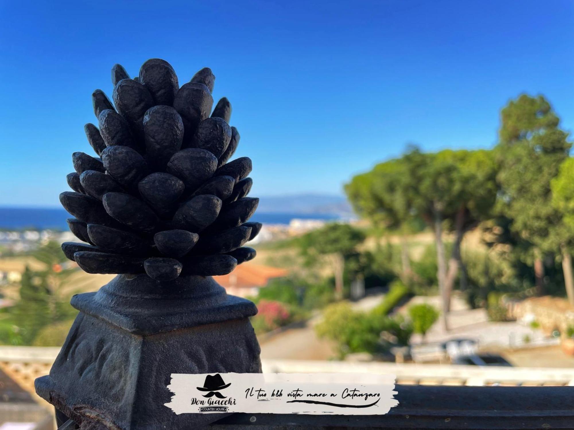 كاتانزارو Don Giacchi Country House المظهر الخارجي الصورة