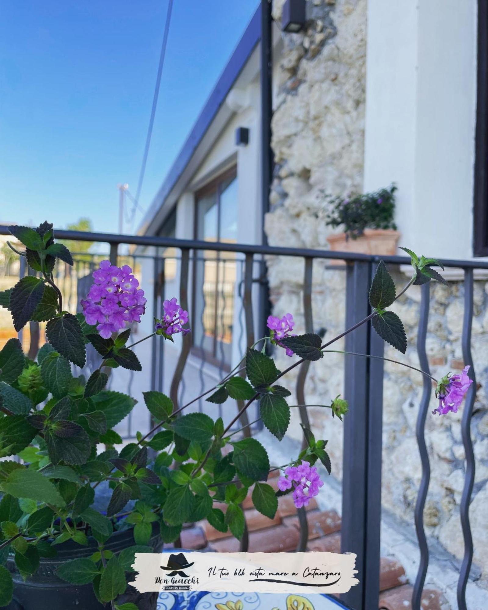 كاتانزارو Don Giacchi Country House المظهر الخارجي الصورة