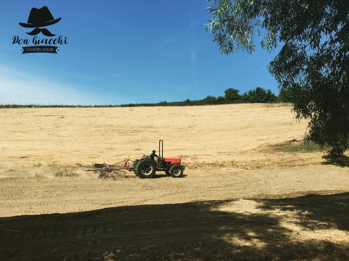 كاتانزارو Don Giacchi Country House المظهر الخارجي الصورة
