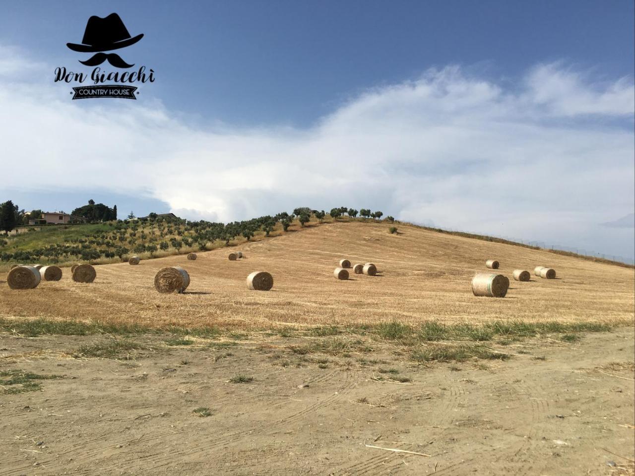كاتانزارو Don Giacchi Country House المظهر الخارجي الصورة
